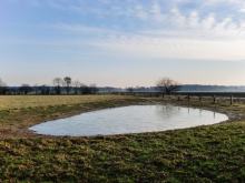 Erd- und Bodenbewegung