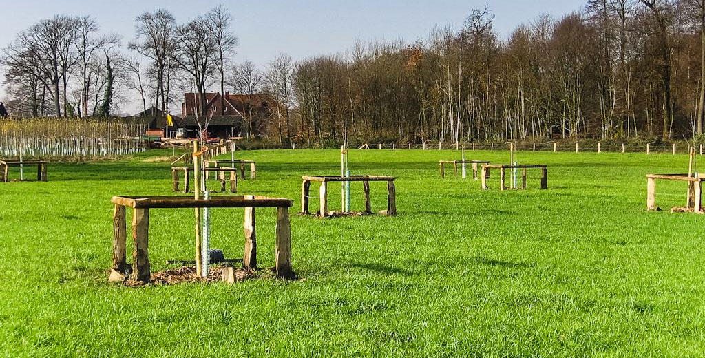 K&uepers Landschaftspflege - Pflanzarbeiten und Pflegearbeiten